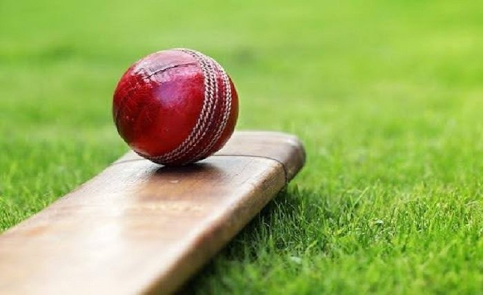 Online cricket