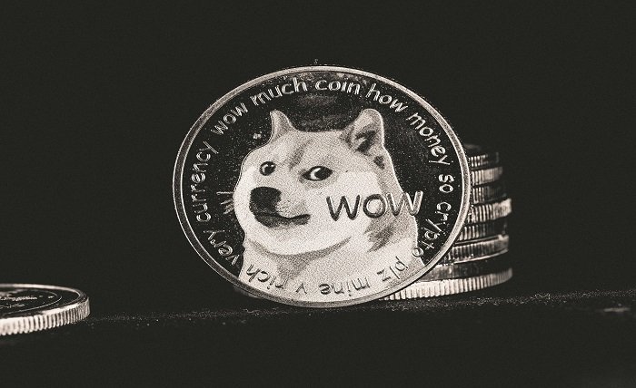 Shiba Inu in India