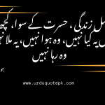 This image poetry in urdu reveals the truth of man's never ending wishes.