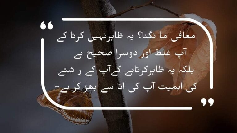 A girl Image with Sorry quotes in urdu and sorry poetry,