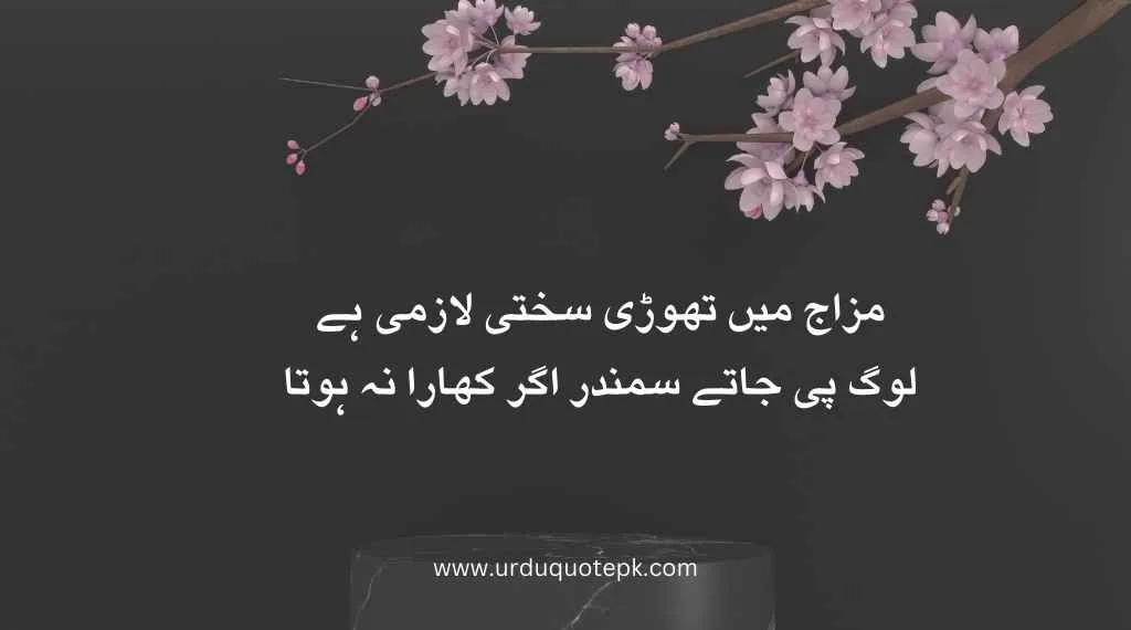 Top 20 Urdu Poetry in 2 Lines/Best poetry in urdu 4 A flower image with urdu poetry in 2 lines and urdu sahyri.