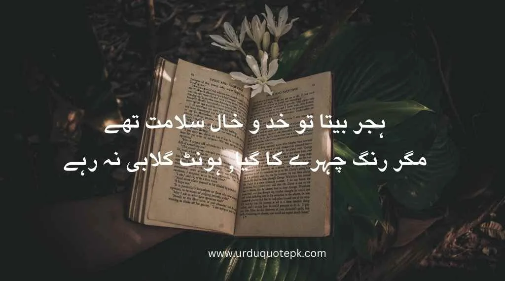 Top 20 Urdu Poetry in 2 Lines/Best poetry in urdu 12 A book image with urdu poetry in 2 lines.