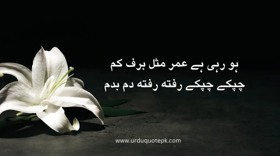 Top 20 Urdu Poetry in 2 Lines/Best poetry in urdu 13 A flower image with urdu poetry in 2 lines.