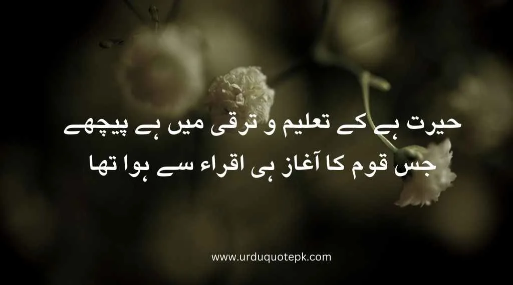 Top 20 Urdu Poetry in 2 Lines/Best poetry in urdu 16 A flower image with poetry in urdu 2 lines.