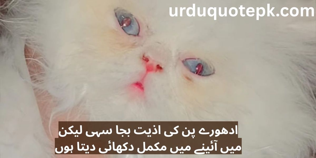 BEST 20 Dil ko Chhoo Jane Wali Urdu Love Shayari 2025 Romantic aur Gehra Ehsaas