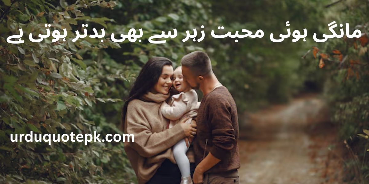 Best 10 Uplifting Inspirational Urdu Shayari for 2025 