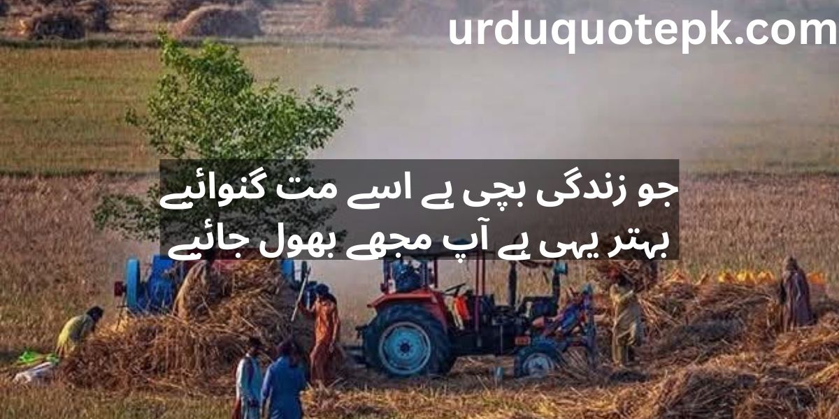 Best 20 Sad Urdu Shayari 2025 Deep & Touching Emotions