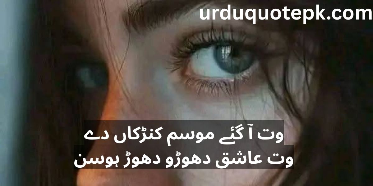 Best 20 Sad Urdu Shayari 2025 Deep & Touching Emotions