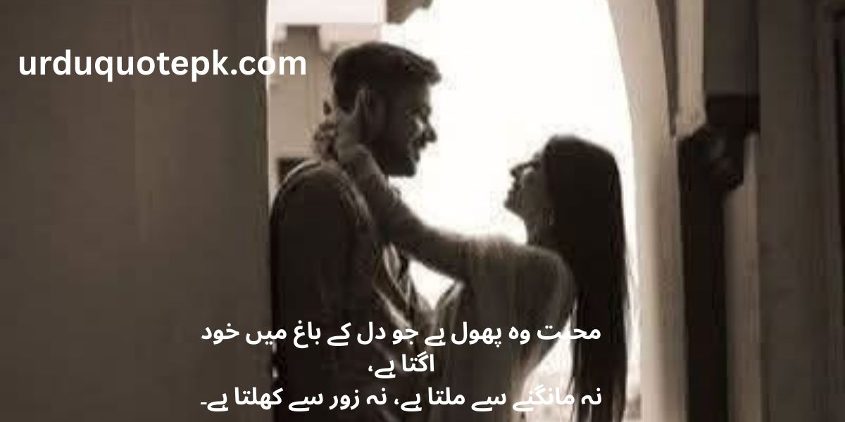 best 10 Inspiring Urdu Quotes and Poetry for the Soul 