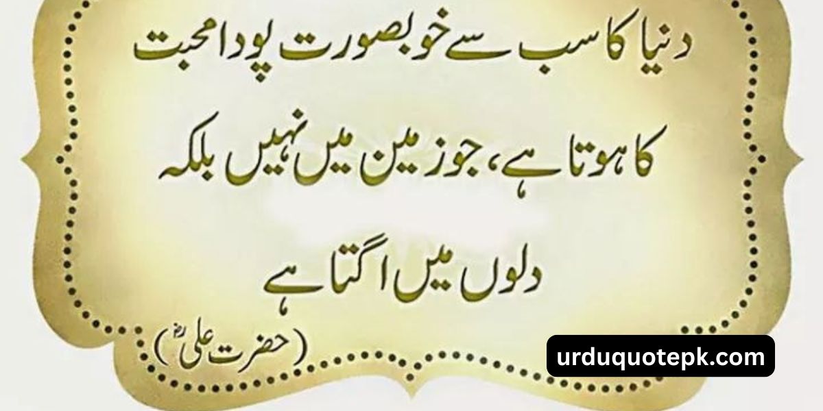 hazrat ali quotes in urdu 