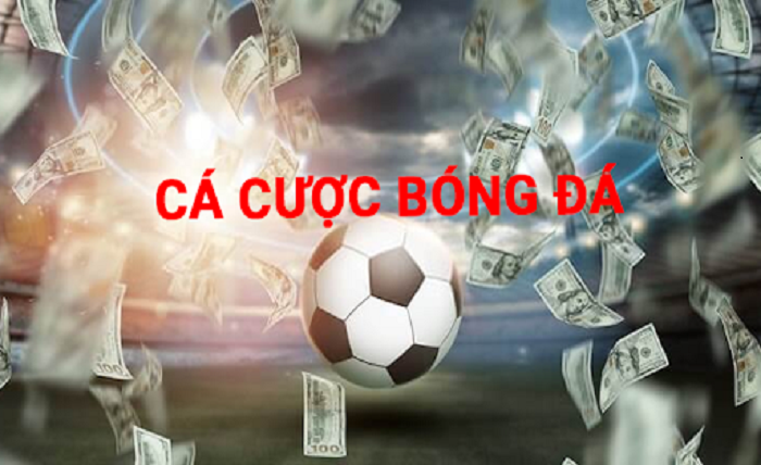 Cá Cược Bóng Đá
