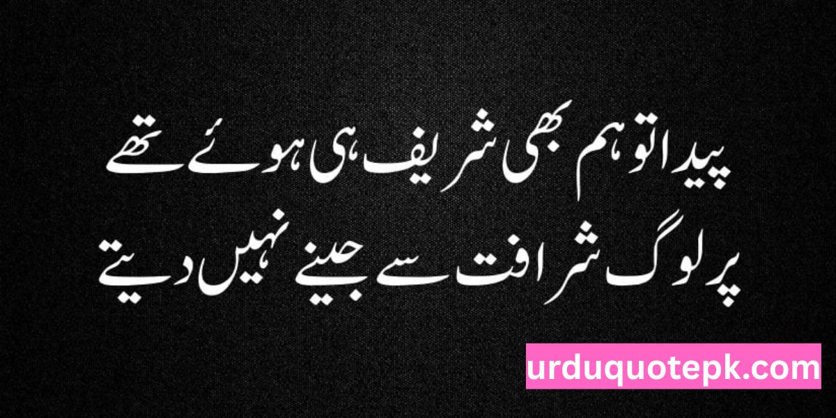 Attitude Quotes in Urdu