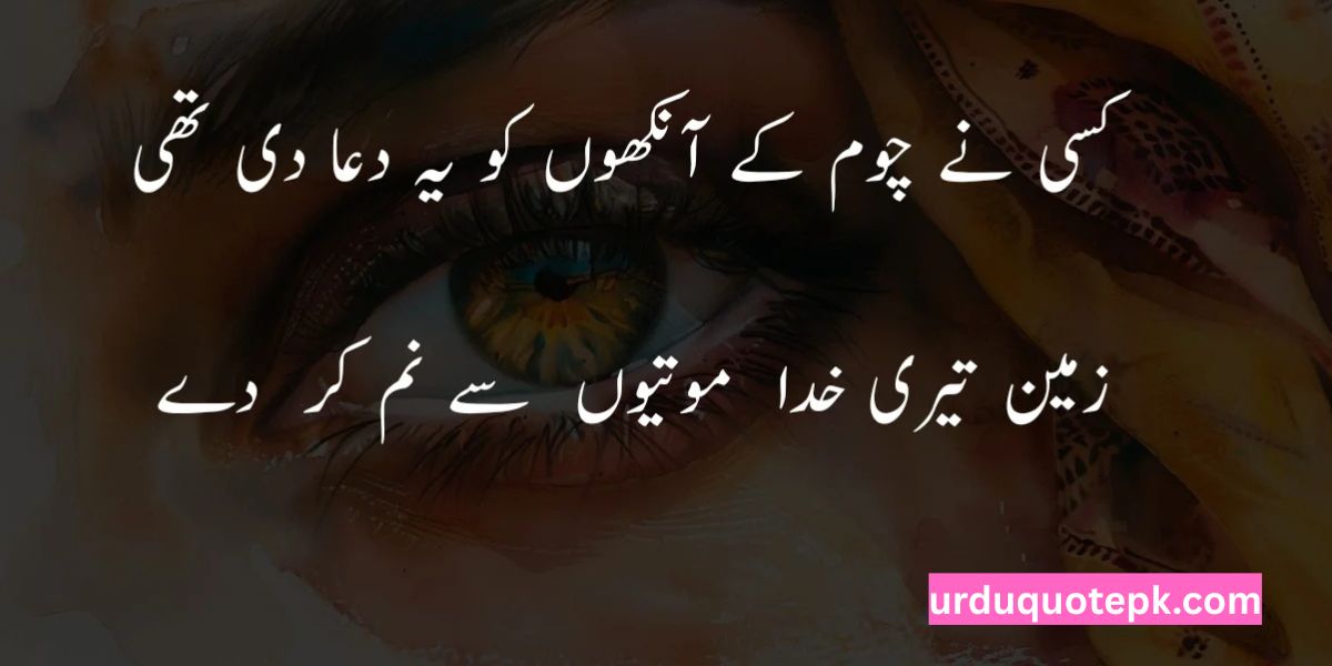 Mohsin Naqvi Sad Poetry 2 Lines